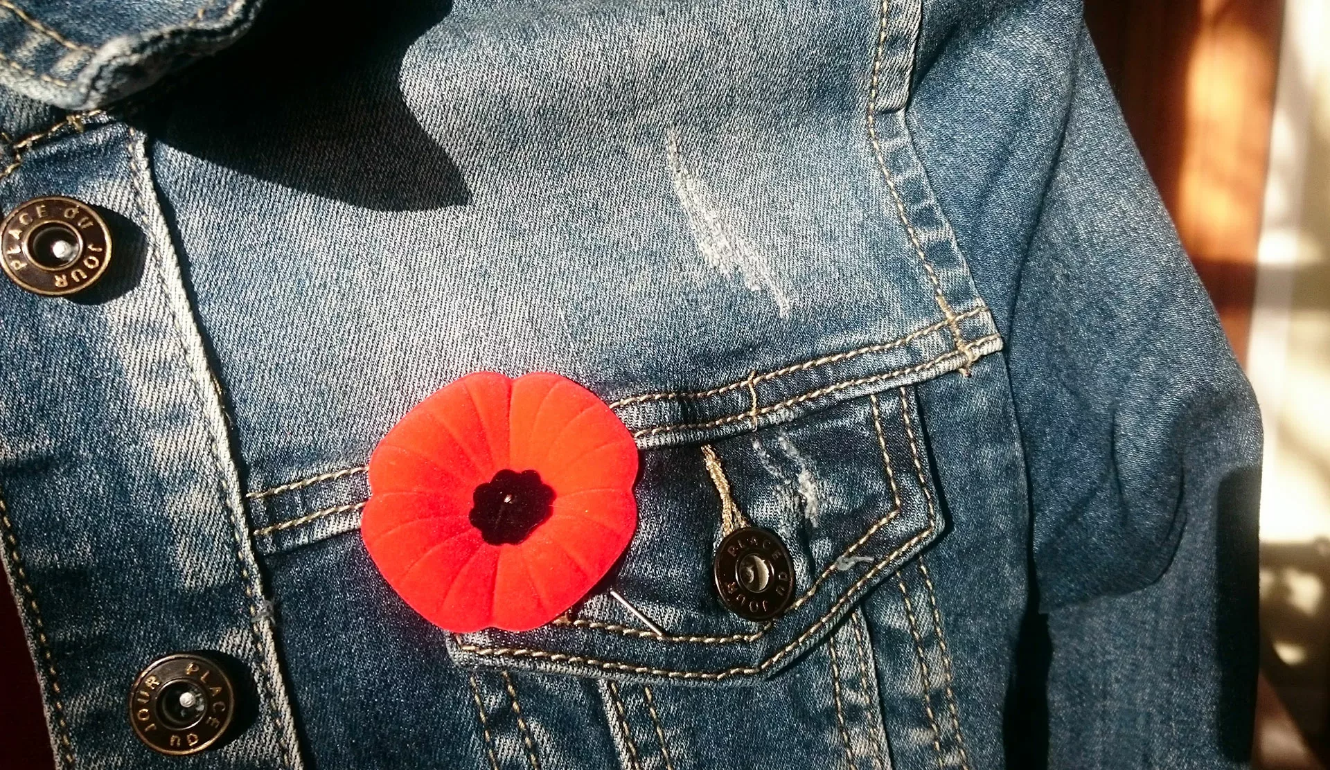 Coquelicot commémoration 11 novembre