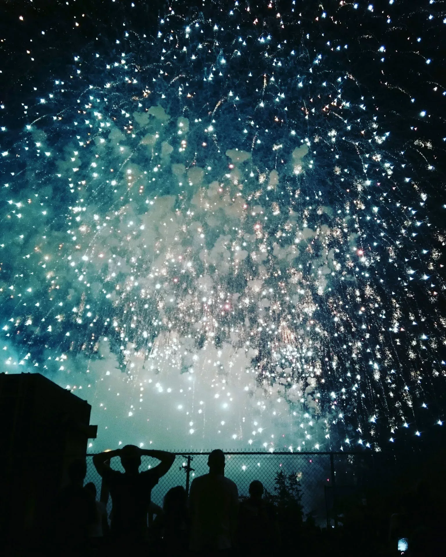 2018-feu-artifice-virginie-dardenne