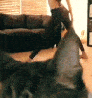 Chat Yoga